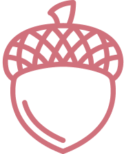 Acorn Icon