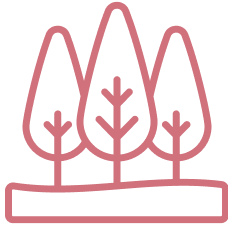 Cypress Icon
